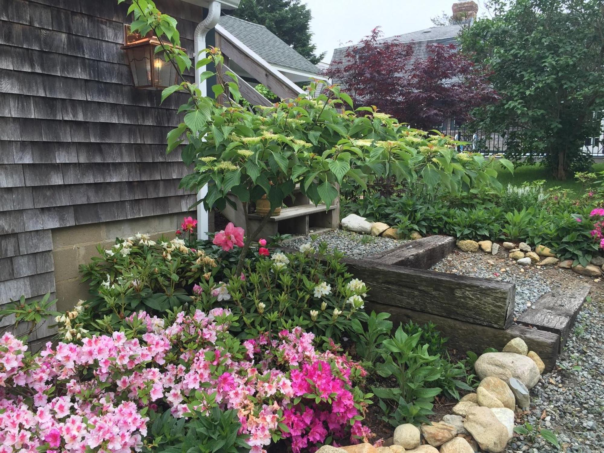 Charles And Charles Mv Bed & Breakfast Vineyard Haven Exterior photo